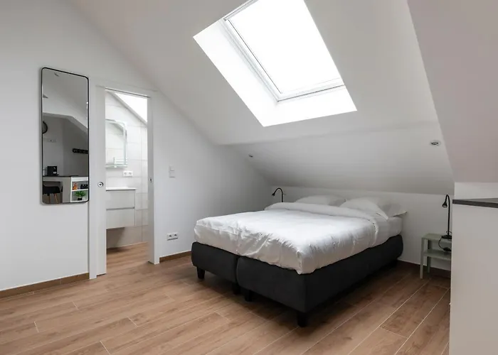 Welter * ルクセンブルク